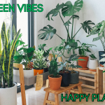 Green Vibes is a picture of all types of plants