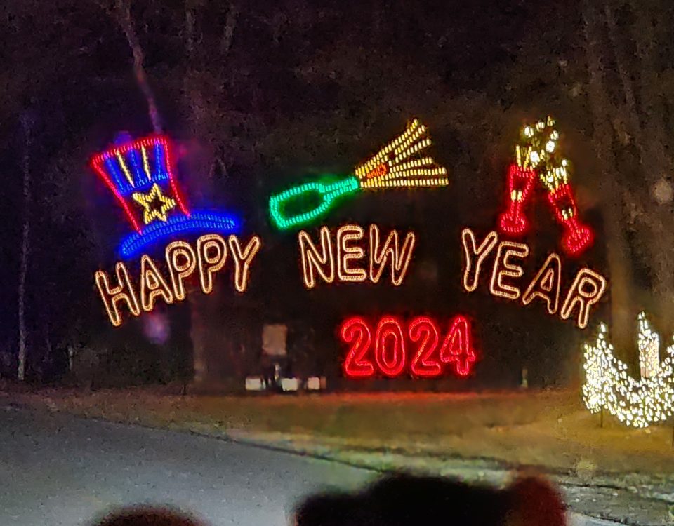 Happy New Year 2024 at the Festival of Lights