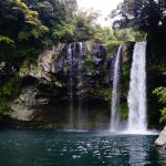 Peaceful Waterfall in a forest