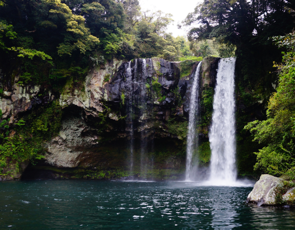 Peaceful Waterfall in a forest