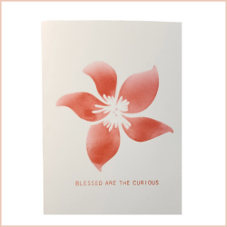Blessed Are the Curious Blank Notecard with red flower