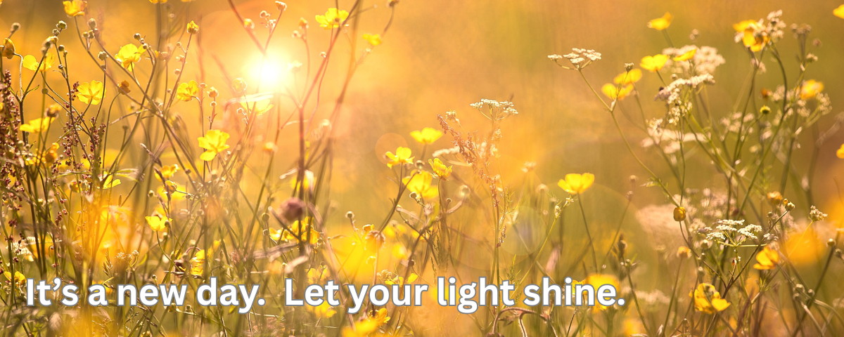It's a new day. Let your light shine. Field with yellow daisies.