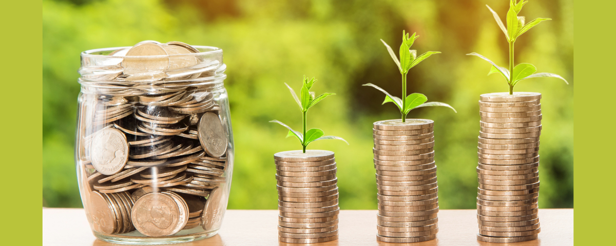 Frugality is in style. Picture of coins with plant indicating growth