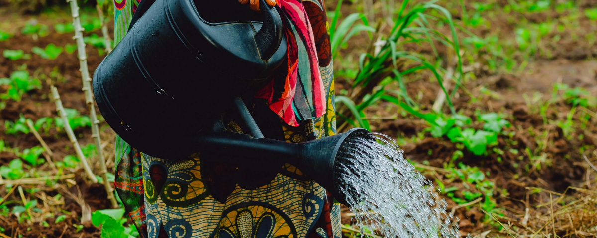 Watering Can in a garden