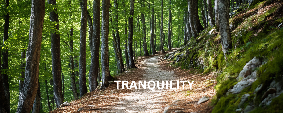 WALKING: A LOST ART? 6 Tranquility while walking