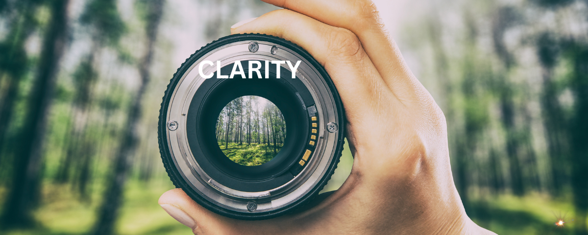 Clarity Camera lens focusing on the trees