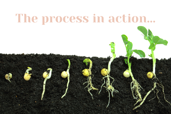 The process in action...