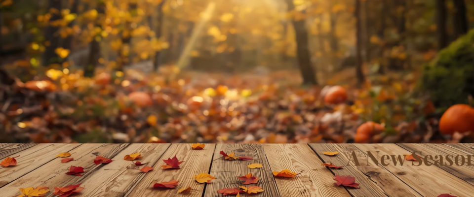 A NEW SEASON 8 Autumn woodland scene with pumpkins, colorful fall leaves and the words A New Season